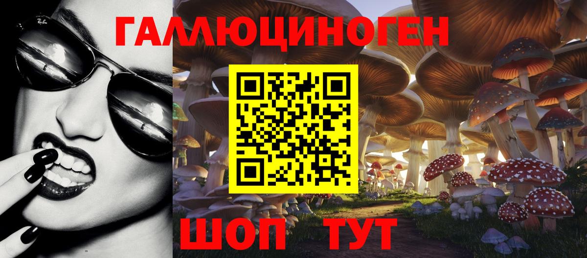 Псилоцибиновые грибы мицелий  Псилоцибиновые грибы мицелий  Крымск  Вход с VPN 